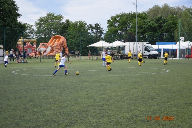 turt 31